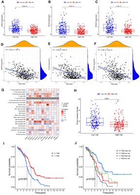 Single-sample gene set enrichment analysis reveals the clinical implications of immune-related genes in ovarian cancer